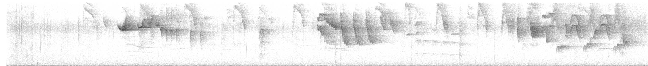 White-throated Spadebill - ML616307891