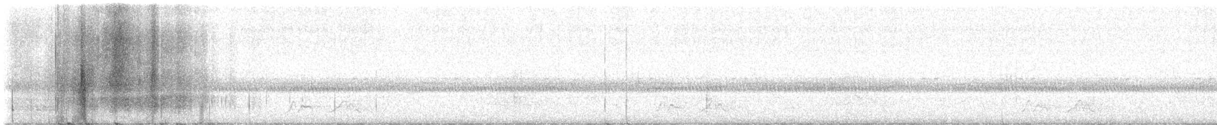 Chuck-will's-widow - ML616309654