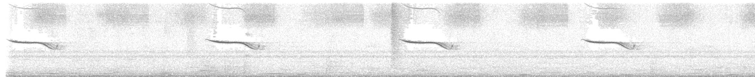 Breitspiegel-Nachtschwalbe - ML616310097
