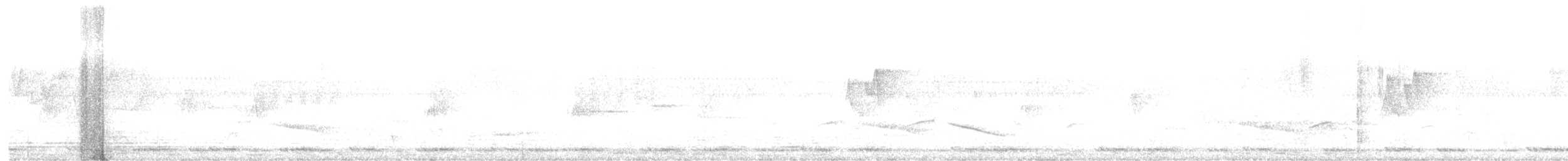 Kahverengi Başlı Barbet - ML616316599