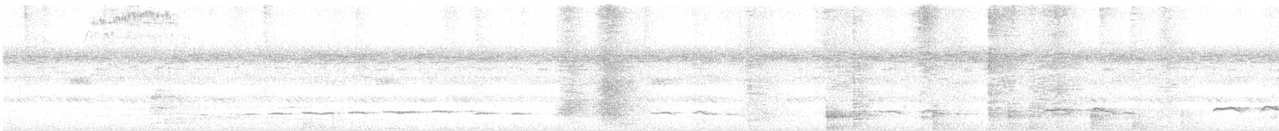 Зозуля білогорла - ML616318815