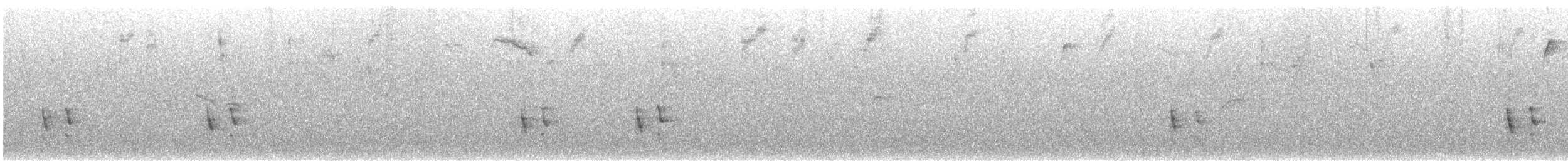 Поплітник рудоспинний (неописана форма) - ML616318821