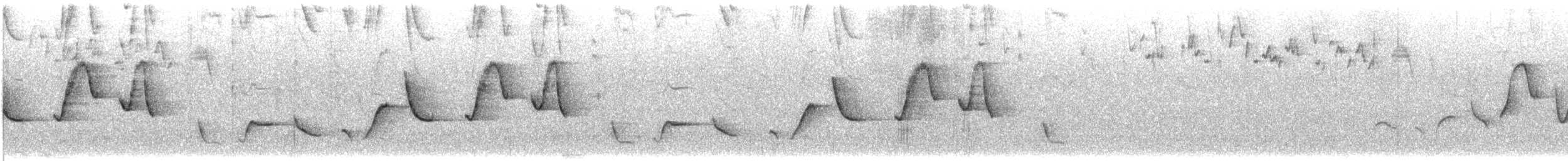 Cucarachero de Mantaro (forma no descrita) - ML616318822