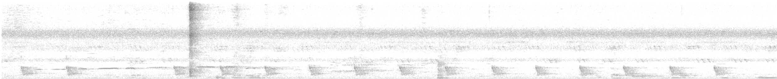 Зозуля білогорла - ML616319767