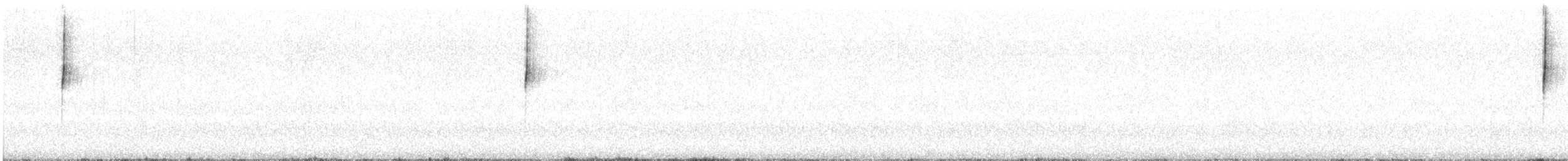 Gray-flanked Cinclodes - ML616319895