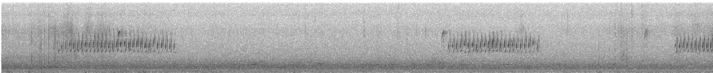 Юнко сірий [група oreganus] - ML616320004