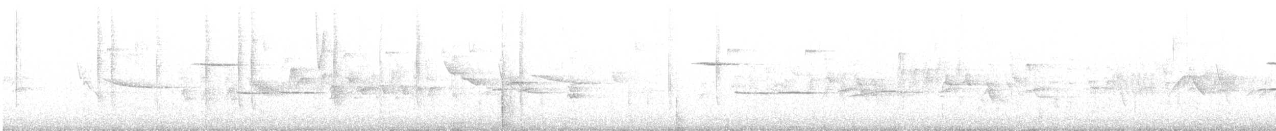 Широкохвостый колибри - ML616321869