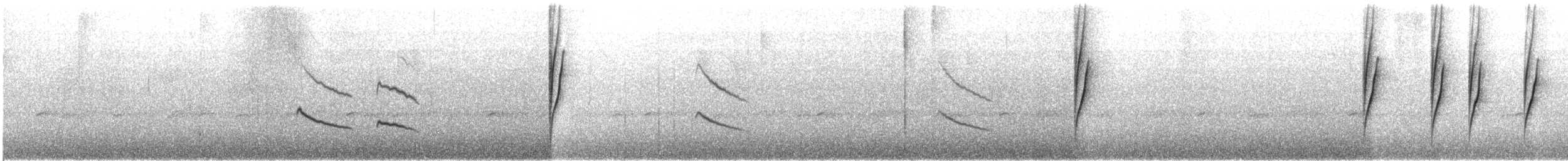 Hochland-Ameisenschlüpfer - ML616323693