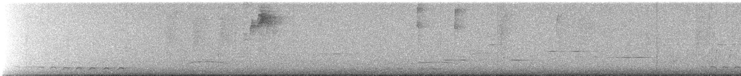 Trogon montagnard - ML616324087