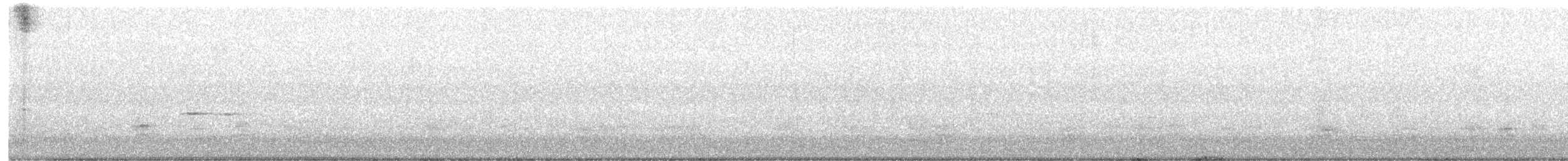 Бор нугас - ML616325161