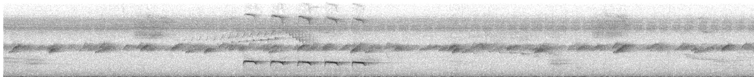 Ak Kanatlı Alev Karıncakuşu - ML616325271