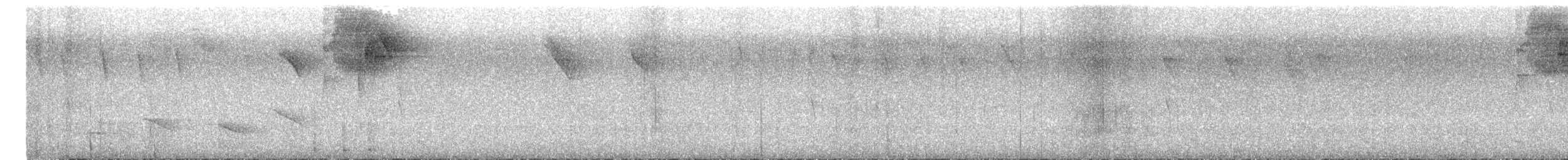 Haplospize unicolore - ML616325283