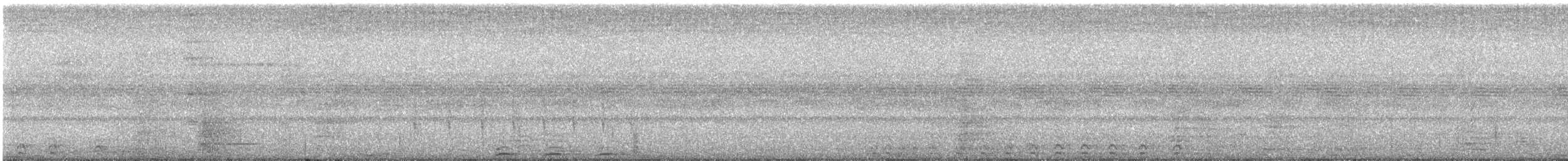Gri Kuyruklu Trogon - ML616330781
