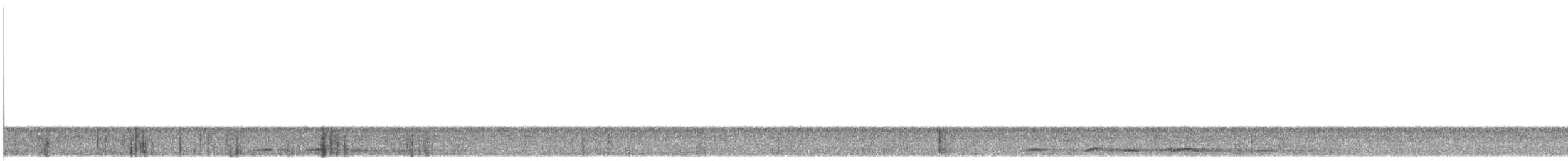 holub krátkozobý - ML616331239