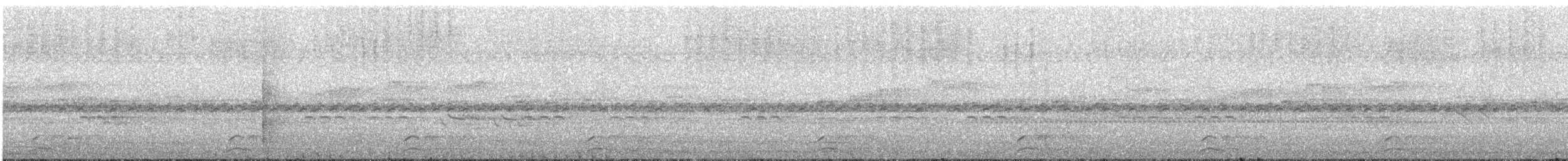 Band-tailed Guan - ML616334891