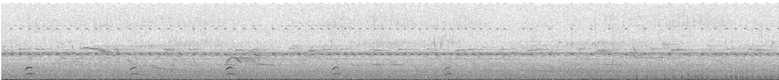 Band-tailed Guan - ML616334905