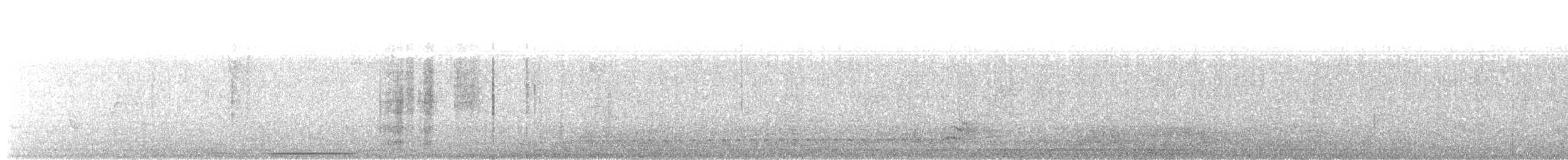Grauband-Ameisenvogel - ML616338860