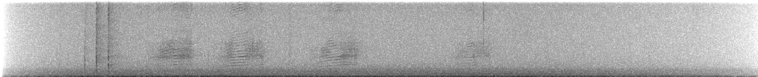 holub pruhoocasý - ML616340384