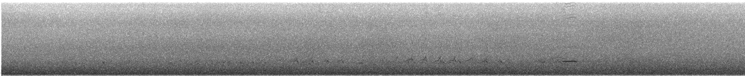 Surfbird - ML616341365