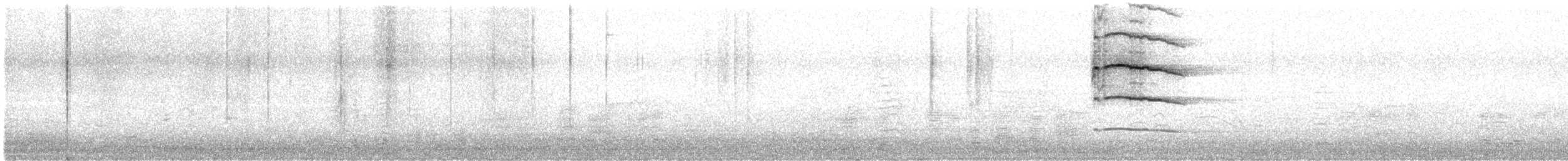 Hontz ertaina - ML616342287