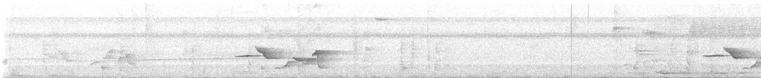 Spot-breasted Wren - ML616345410