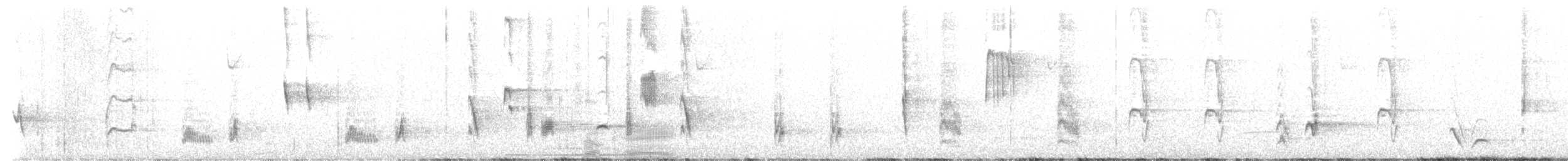Cuitlacoche Ocelado - ML616345763