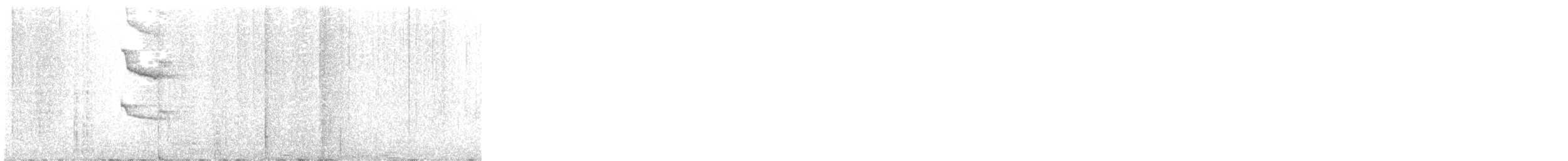 Perlkappen-Baumsteiger - ML616346518