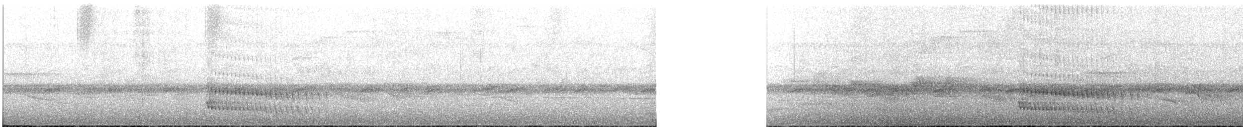 Trogon rosalba (groupe collaris) - ML616349032