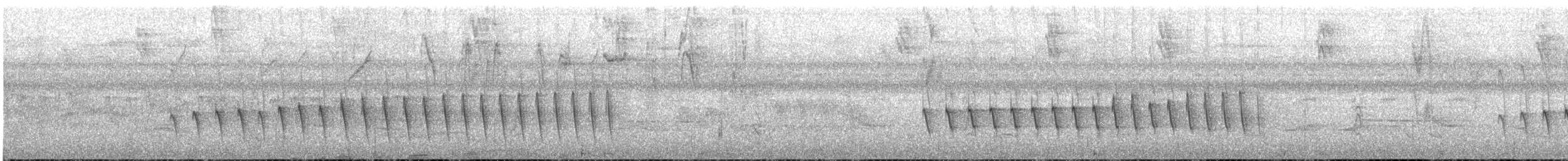 Pacific Antwren - ML616349732
