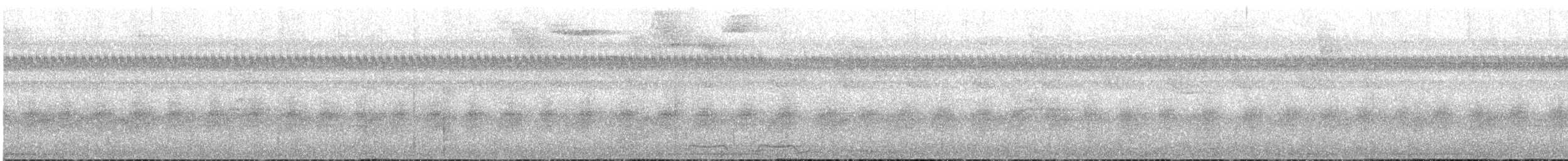 purpurskjeggkotinga - ML616350225