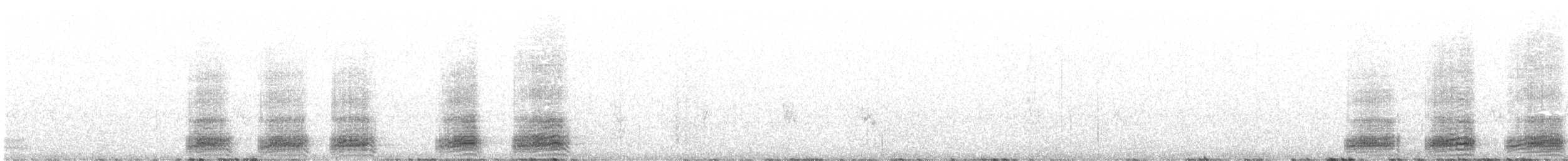 Cuervo Desertícola - ML616356643