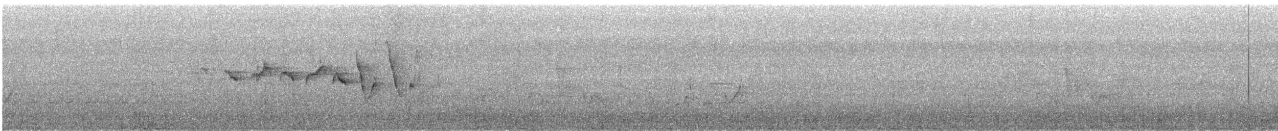 Трясогузковый певун - ML616358937