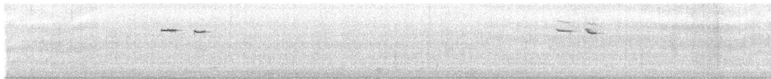 Karaca Mizomela [obscura grubu] - ML616359843