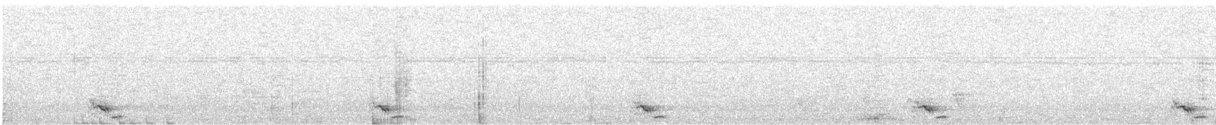 Black-tailed Oriole - ML616360403