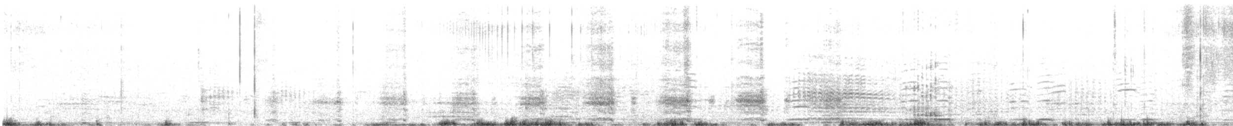 Chionis blanc - ML616363401