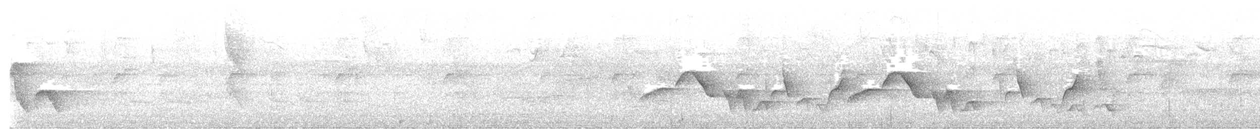 Поплітник плямистоволий (підвид columbianus) - ML616363601