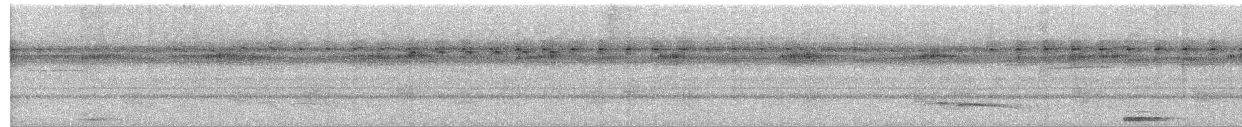 Great Eared-Nightjar - ML616367596