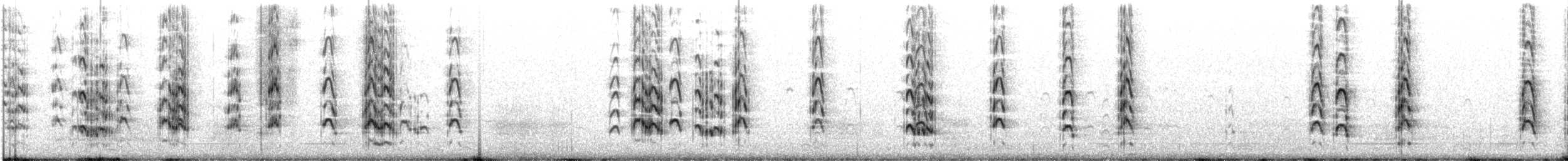 Sterne élégante - ML616369704