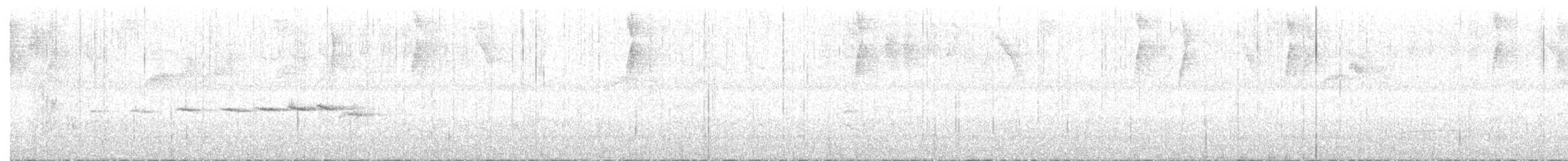 Gray-and-gold Warbler - ML616370088