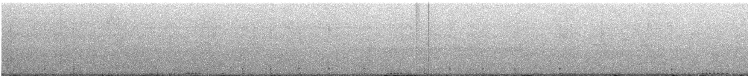 Motmot caraïbe (groupe subrufescens) - ML616371954