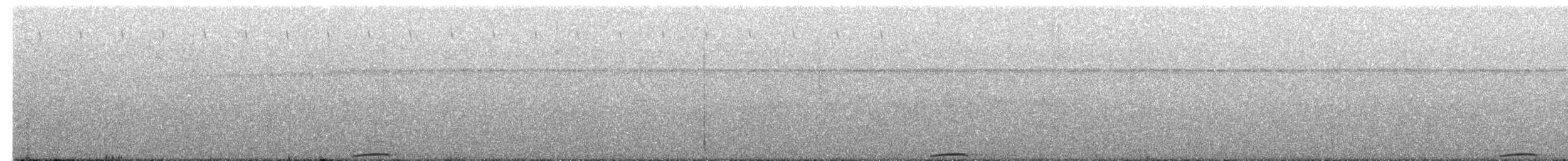Motmot caraïbe (groupe subrufescens) - ML616372077