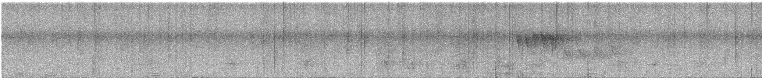 オウム目（インコ科 大きな種） - ML616373645