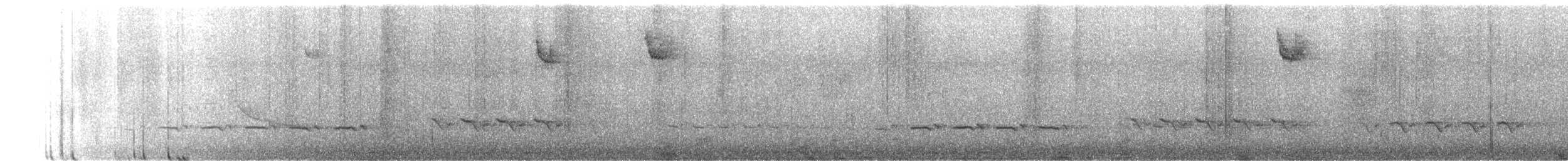 White-throated Sparrow - ML616374347