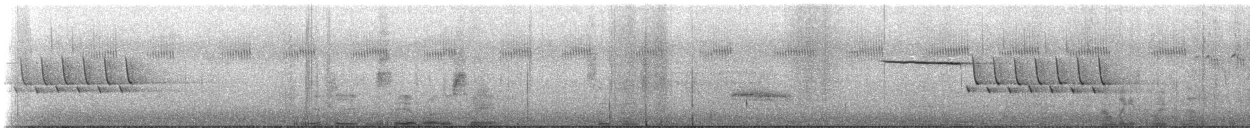 Bachman's Sparrow - ML616374350