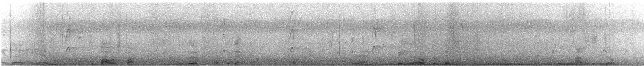 Red-cockaded Woodpecker - ML616374375