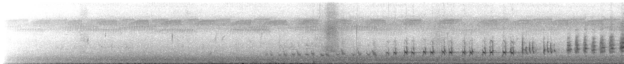 Northern Mockingbird - ML616374393