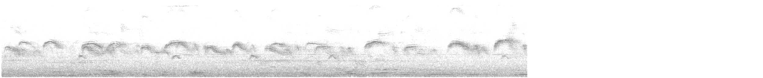 ウスアマツバメ - ML616376208