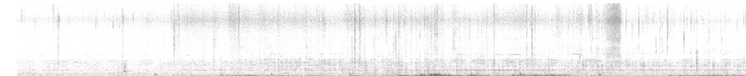 American Wigeon - ML616377221