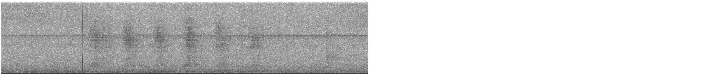 Aura Gallipavo (ruficollis) - ML616378242