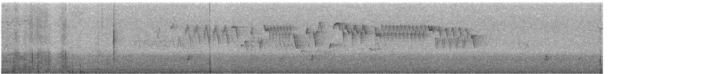 Troglodyte de Baird - ML61637991